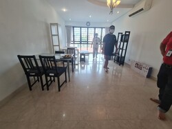 Simsville (D14), Condominium #494403691